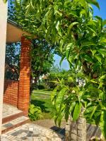 Apartman Aurora - B&B Golubac