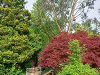 Charming 1 bedroom self-contained flat. - Ferienwohnung
