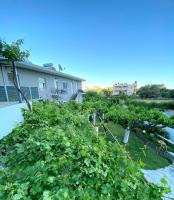 Stelios Studios Sougia - B&B Soúgia