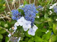 La kaz 57 - Maison avec SPA privatif - B&B La Plaine-des-Palmistes