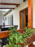 Rustic Villa - B&B Jagodina