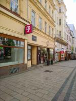 B&B Karlovy Vary - Apartman TGMasaryka - Bed and Breakfast Karlovy Vary