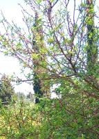 Teachers' House - B&B Alykes Potamou