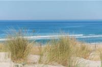 Appartement Villa Trencat - B&B Biscarrosse