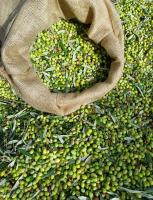 Antonias house - B&B Stoúpa