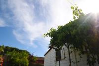 Villa Ada con Piscina, Jardin y Parking - B&B