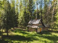 Chatka w lesie - B&B