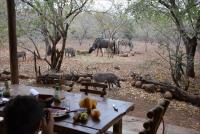 B&B Marloth Park - Les 3 Marulas - Bed and Breakfast Marloth Park