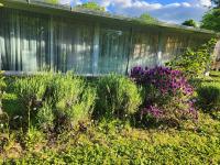 B&B Villa Sabrina - Ferienwohnung