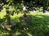 Appartamento il gelso - B&B
