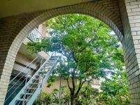 Nagahama House -奄美大島のテラス付一棟貸切- - B&B Amami