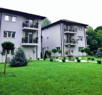 GREY VILLAS - Bed and Breakfast Călimăneşti