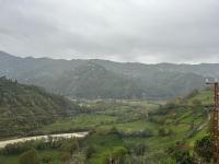 Suite mit Gartenblick