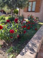 Appartement 1 Chambre - Vue sur Jardin