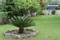 Namaste Apartments - B&B Párga