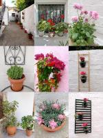 La Nature - Ferienwohnung Konístres