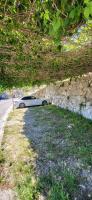 Appartamento con Vista Mare