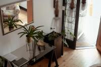 Hibiscus House - B&B