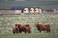 Glengolly Getaways - B&B
