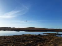 Kelly's Pod - B&B Garynahine