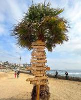 Costa del mar - B&B