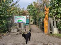 Familienferienhof Sell´s Scheune - B&B