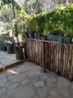 Suite with Garden View