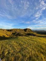 ninho da arara - B&B São Jorge