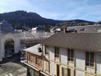 Grand T2 de charme, confort 3*, face aux Thermes. - B&B La Bourboule