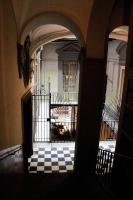 Green Chiaia three - B&B Napoli