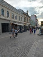 Darris Apartament Ultracentral - B&B