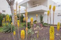 Eureka Tenerife - Chambres d’hôtes