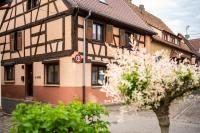 La Ruine - Gite d'Alsace jusqu'à 10 personnes avec SPA intérieur - B&B
