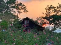 Romantic house 2 on a pine hill Dalat - B&B