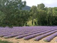 L'Etable - B&B La Coucourde