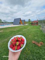 Wild A-frame - B&B