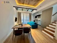 Penthouse Apartment
