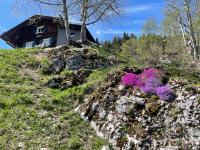 Alpenchalet Piz Hüsli - Ferienwohnung Tschagguns