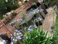 Victorian Guest House 200m from the Seafront - B&B