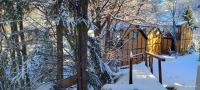 Ski & Spa Bungalows - B&B Kopaonik
