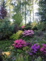 U Joli - B&B Jugowice