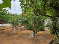 Melograno - B&B