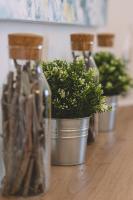 Apartment with Lake View