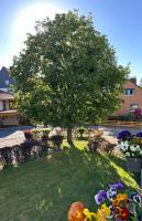 Kleine Auszeit am Wildgehege - B&B Bad Harzburg