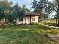 Apartment Marijana - B&B Murine