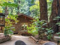 Magical Cabin Retreat in the Redwoods!! - B&B