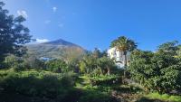 B&B Stromboli - La Casa di Nonna Ida - Bed and Breakfast Stromboli