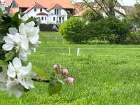 Ferienwohnung Lipps - B&B Hammersbach