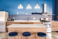 Beautifully Remodeled Second Floor Flat in River North with Private Rooftop - 2S - B&B