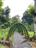 B&B Bukit Lewang - Wisma Batu Mandi and offers jungle tours - Bed and Breakfast Bukit Lewang